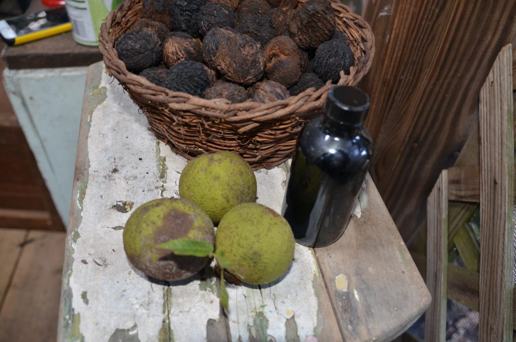 Do Pumpkins Seeds Stop Worms in Chickens Backyard Poultry